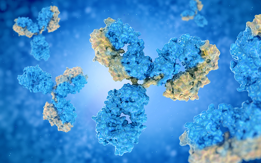 藥物安全性評價服務